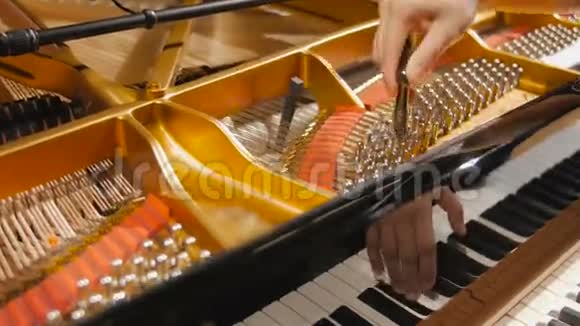 用音频为钢琴调音视频的预览图