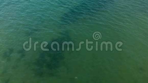 一个空中拍摄的BurrardInlet北岸和佐治亚海峡在温哥华公元前视频的预览图