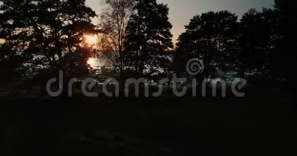 在夏季傍晚透过树木鸟瞰大海中的日落视频的预览图