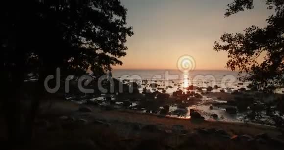 在日落时登上俯瞰大海的近树的空中景色视频的预览图