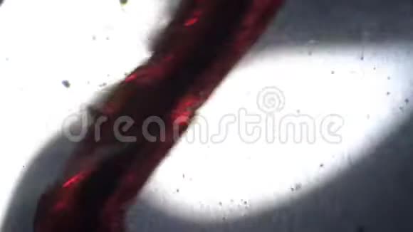 显微镜下的蚊子幼虫视频的预览图