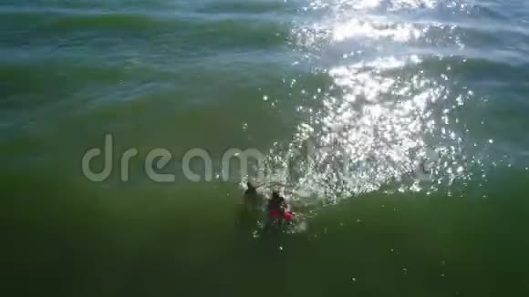 妈妈和女儿游泳的绿色海洋视频的预览图