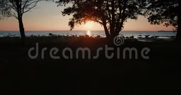空中在树枝下飞向大海俯瞰日落时的太阳视频的预览图