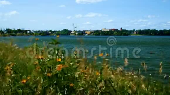 贝米吉镇贝米吉湖南岸野花视频的预览图