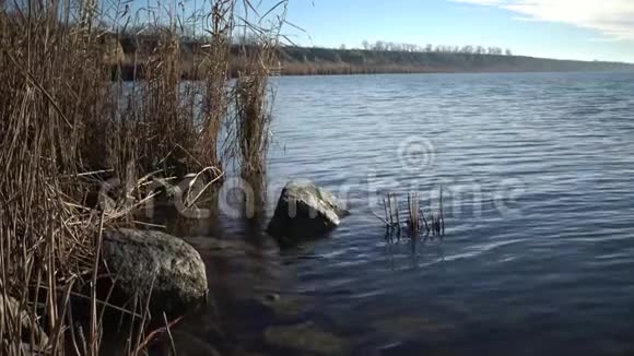 湖上美景干藤水中阳光的倒影视频的预览图