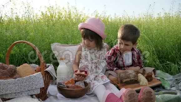 在大自然中度假朋友在绿色草坪上野餐男孩和女孩在大自然中吃食物孩子拒绝面包视频的预览图
