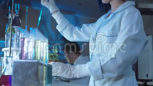 作物雌性在植物中滴入化学物质视频的预览图