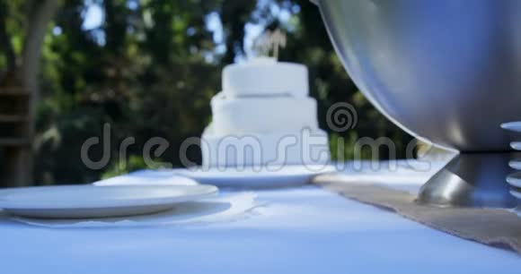 带4K4k盘子的白色结婚蛋糕视频的预览图
