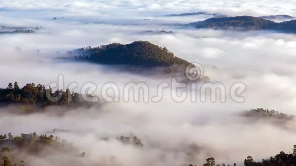 晨雾在森林山脉中的景观斯里兰卡时间流逝视频的预览图