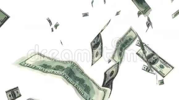 百元钞票在白色的循环动画中飞舞高清1080视频的预览图