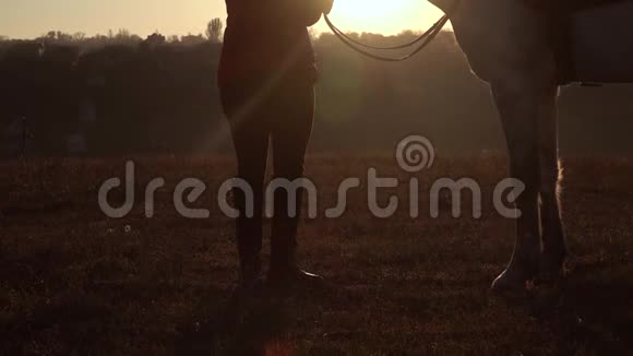 女孩站在草地上抚摸着马美丽的日落慢动作视频的预览图
