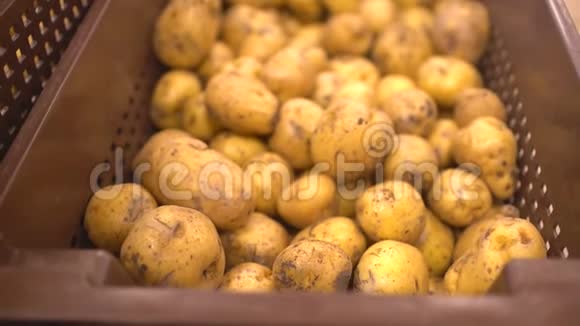 土豆市场前景中的土豆视频的预览图