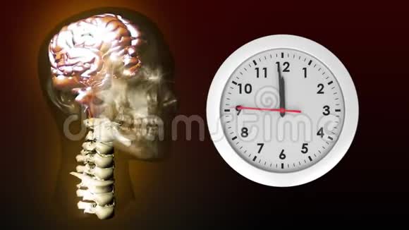 头部和时钟的解剖视频的预览图