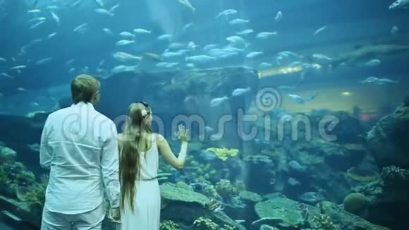 那家伙和那个女孩正在考虑在地下水族馆里航行的鱼视频的预览图