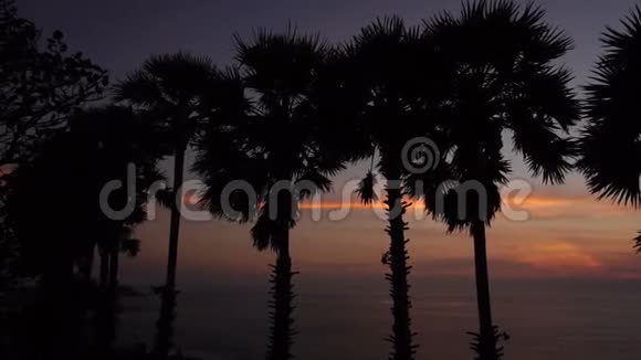 在海边欣赏美丽日落的人视频的预览图
