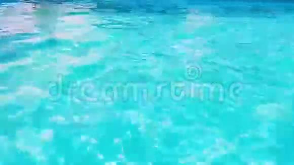 人在游泳池里潜水视频的预览图
