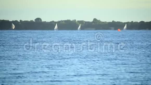 帆船在海水湖泊或河流上航行视频的预览图