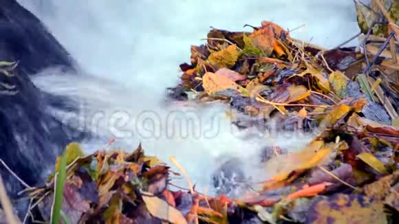 落叶黄叶瀑流水特写秋季视频的预览图