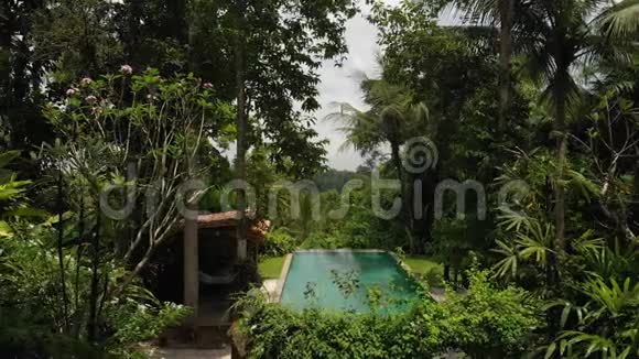 4K空中飞行视频无限游泳池在豪华别墅在丛林巴厘岛视频的预览图