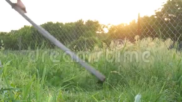 强壮的农夫在夕阳的背景下用手草割草干草收获视频的预览图