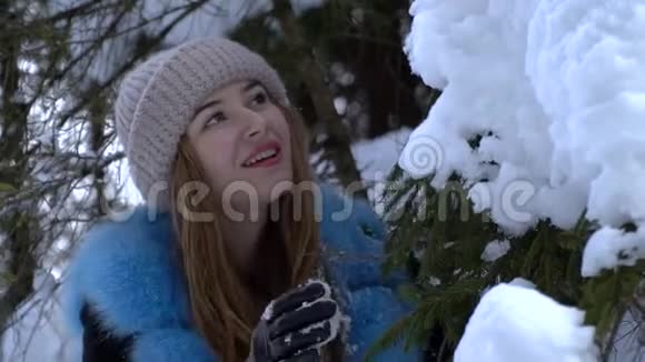 年轻漂亮的女孩走在白雪皑皑的冬林里她快乐而平静一个女孩站在一个大雪覆盖的地方视频的预览图