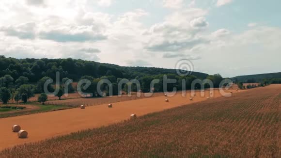 用干草草包飞越农作物小麦或黑麦地收获农业农场农村空中4k视频视频的预览图