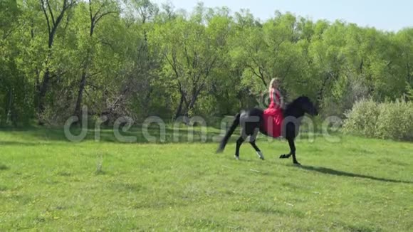 年轻女子穿着红色衣服骑着黑色马裸背视频的预览图