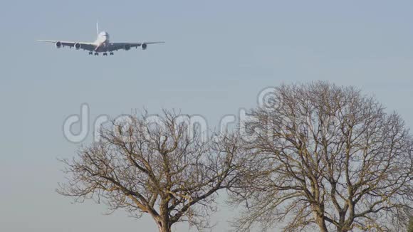 冬天飞机飞过树木视频的预览图