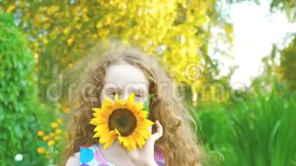 小女孩喜欢夏天公园里的向日葵视频的预览图