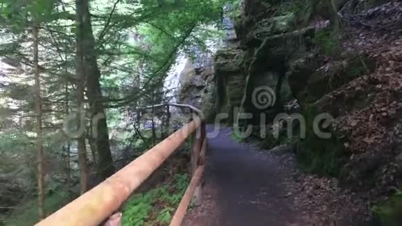 森林中的旅游小径岩石和美丽的绿色视频的预览图