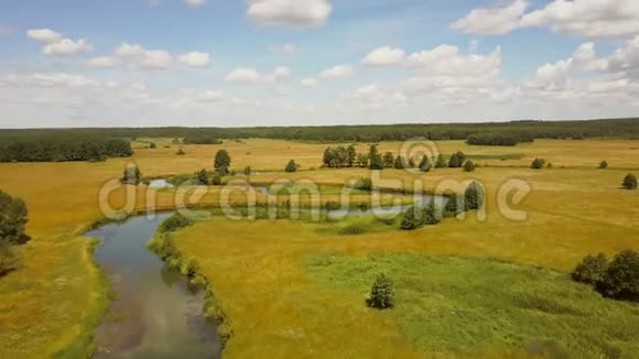 无人机在蜿蜒的河流上空飞行空中拍摄美丽的欧洲乡村景观明亮的夏野4K视频的预览图
