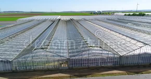 提供蔬菜蔬菜种植工业温室可伸缩屋顶温室视频的预览图