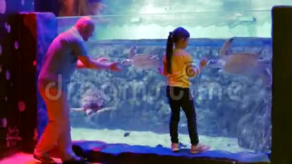 水族馆既受儿童欢迎也受成人欢迎视频的预览图