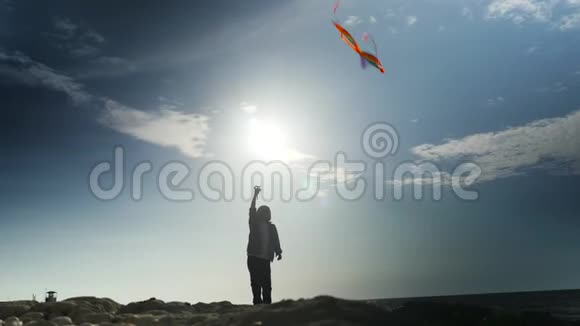 剪影小男孩控制放飞彩色风筝视频的预览图