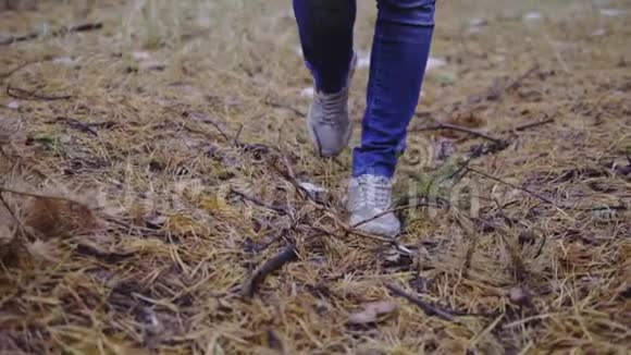 慢动作电影镜头腿穿过一堆树叶和针头的森林秋天的森林第一场雪散步视频的预览图