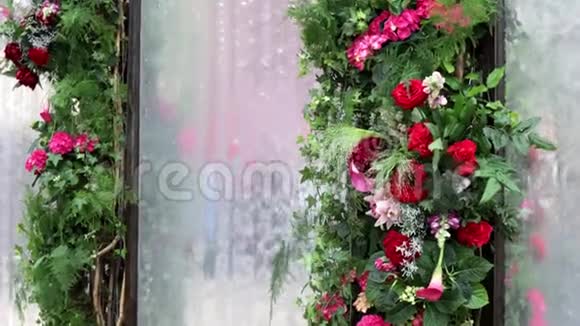 背景装饰与植物视频的预览图
