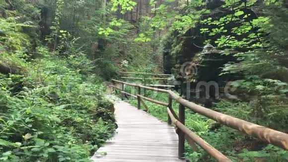 森林中的旅游小径岩石和美丽的绿色捷克瑞士国家公园大石头视频的预览图