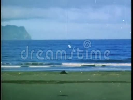 风筝落在海滩上视频的预览图
