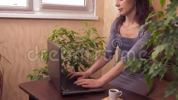 有笔记本电脑和咖啡的女孩一个穿灰色连衣裙的女人在笔记本电脑后面的室内喝咖啡在沙发上喝咖啡的年轻女子视频的预览图