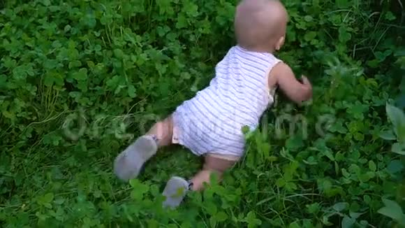 一岁的男孩爬在草地和三叶草里视频的预览图