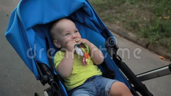 微笑蹒跚学步的小男孩坐在婴儿车户外视频的预览图