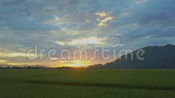 在稻田上方的稻田上对着山丘图案的黎明视频的预览图