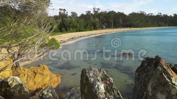 澳大利亚维多利亚的伊甸园海滩夏天视频的预览图