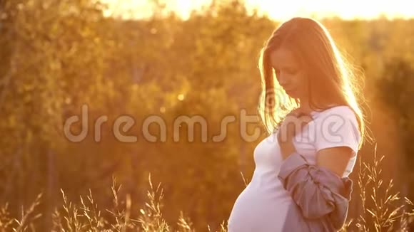美丽的孕妇在夏日的自然草甸与夕阳视频的预览图