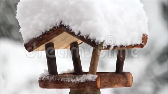 冬天的风景雪落在鸟舍上视频的预览图