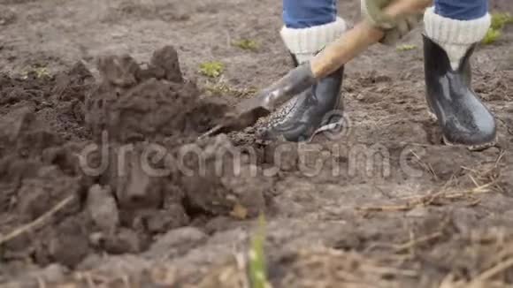 女人用铲子挖地腿用铲子特写视频的预览图