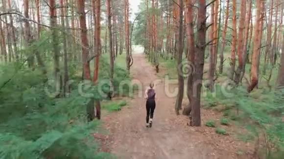 从后面的鸟瞰到在松树林中沿着小径奔跑的年轻女子视频的预览图