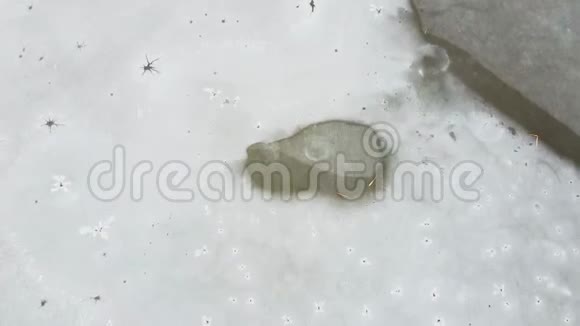 冰冻湖冬季航空无人机视频视频的预览图