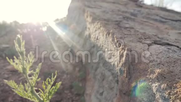 悬崖顶山岗花岗石阳光夕阳美丽的景色生活方式自然视频的预览图