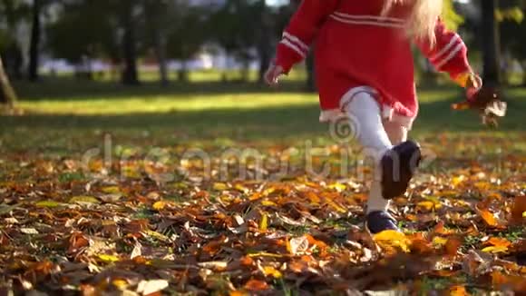 一个穿红色裙子的小女孩踢黄色落叶动作缓慢视频的预览图